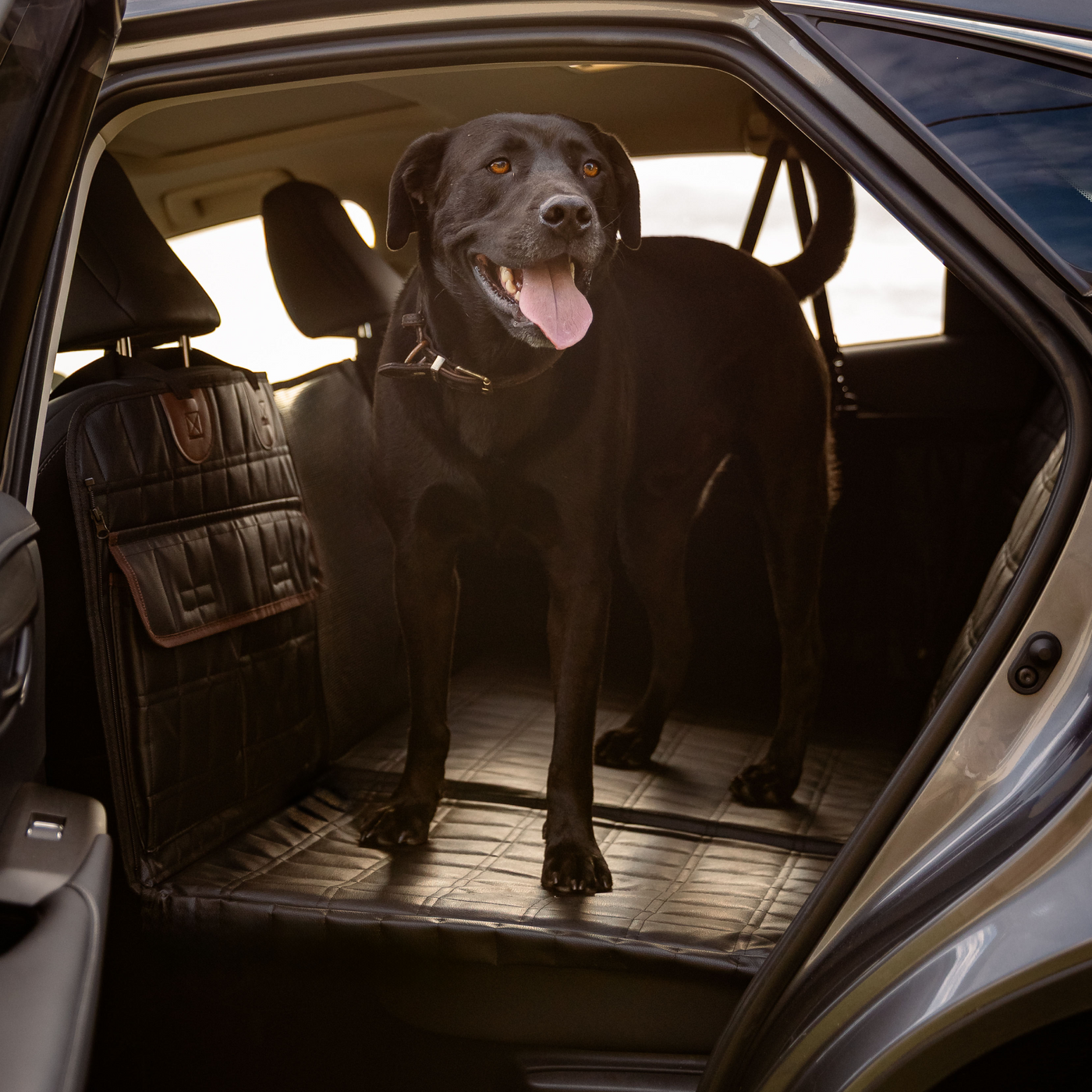 RUFF N ROAM™ COMFY CRUISER 2.0