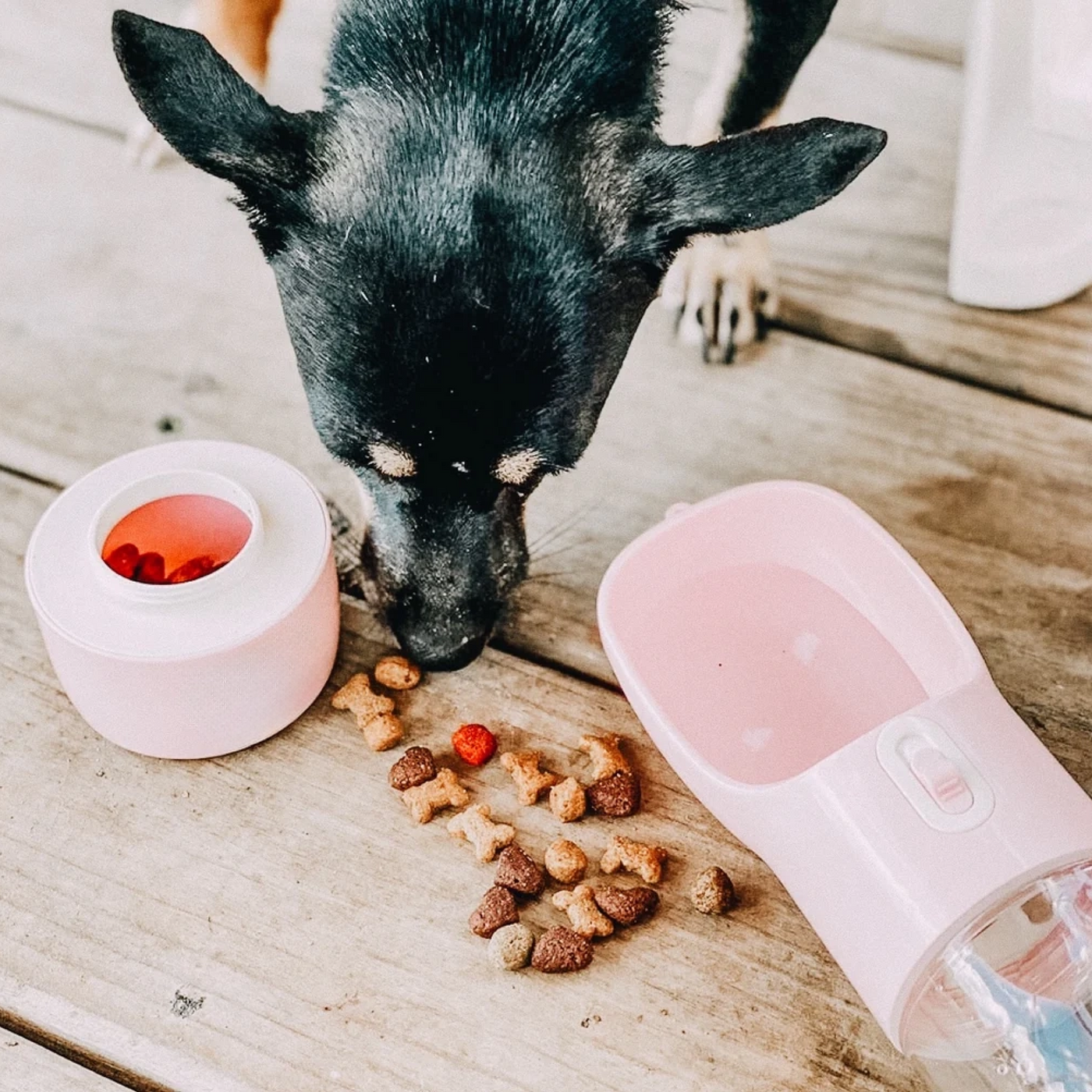RUFF N ROAM™ TRAVEL WATER BOTTLE