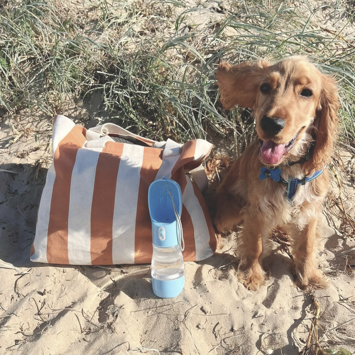 RUFF N ROAM™ TRAVEL WATER BOTTLE