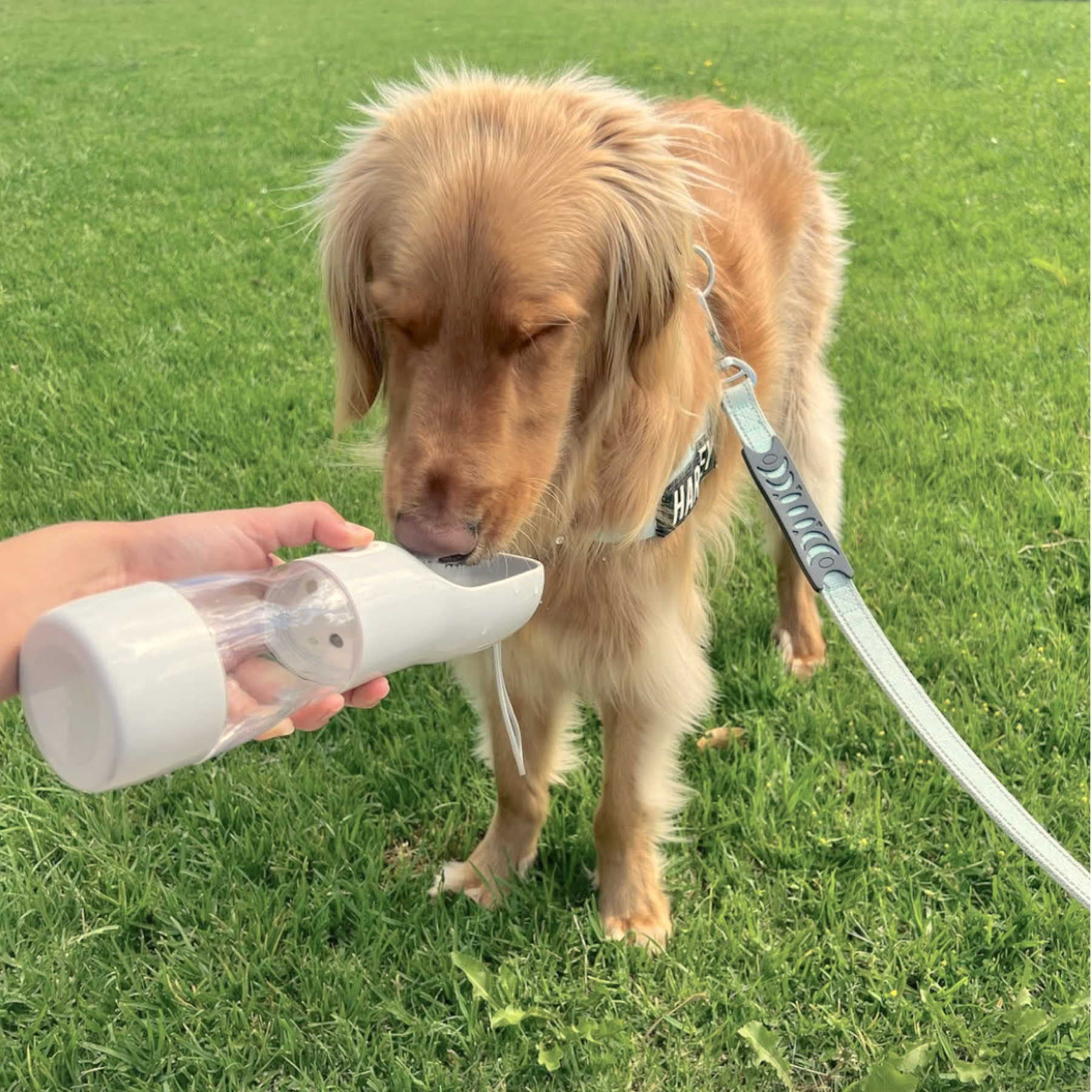 RUFF N ROAM™ TRAVEL WATER BOTTLE – Ruff N Roam