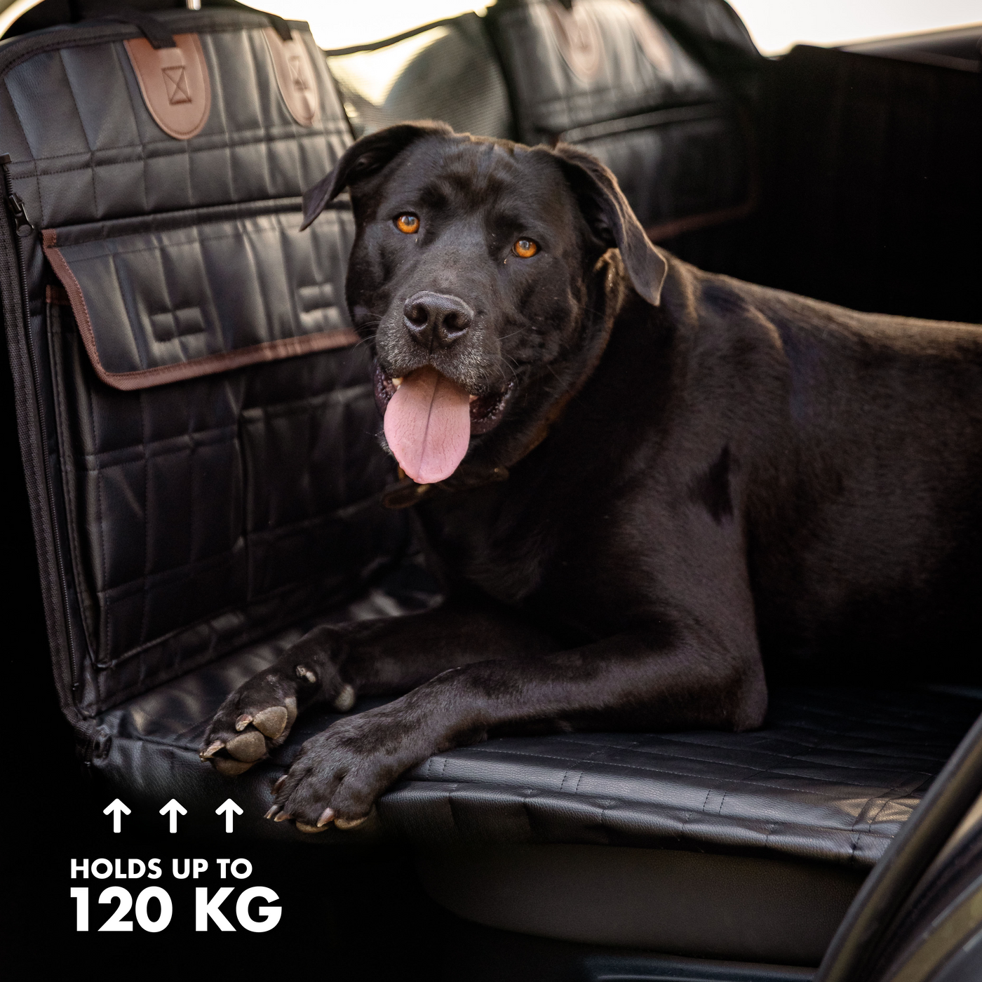 RUFF N ROAM™ COMFY CRUISER 2.0