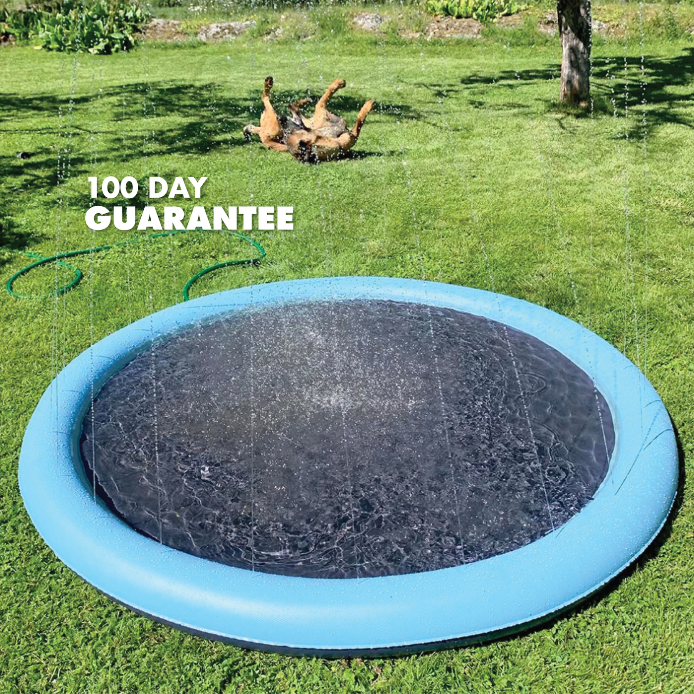 RUFF N ROAM™ SPLASH PAD