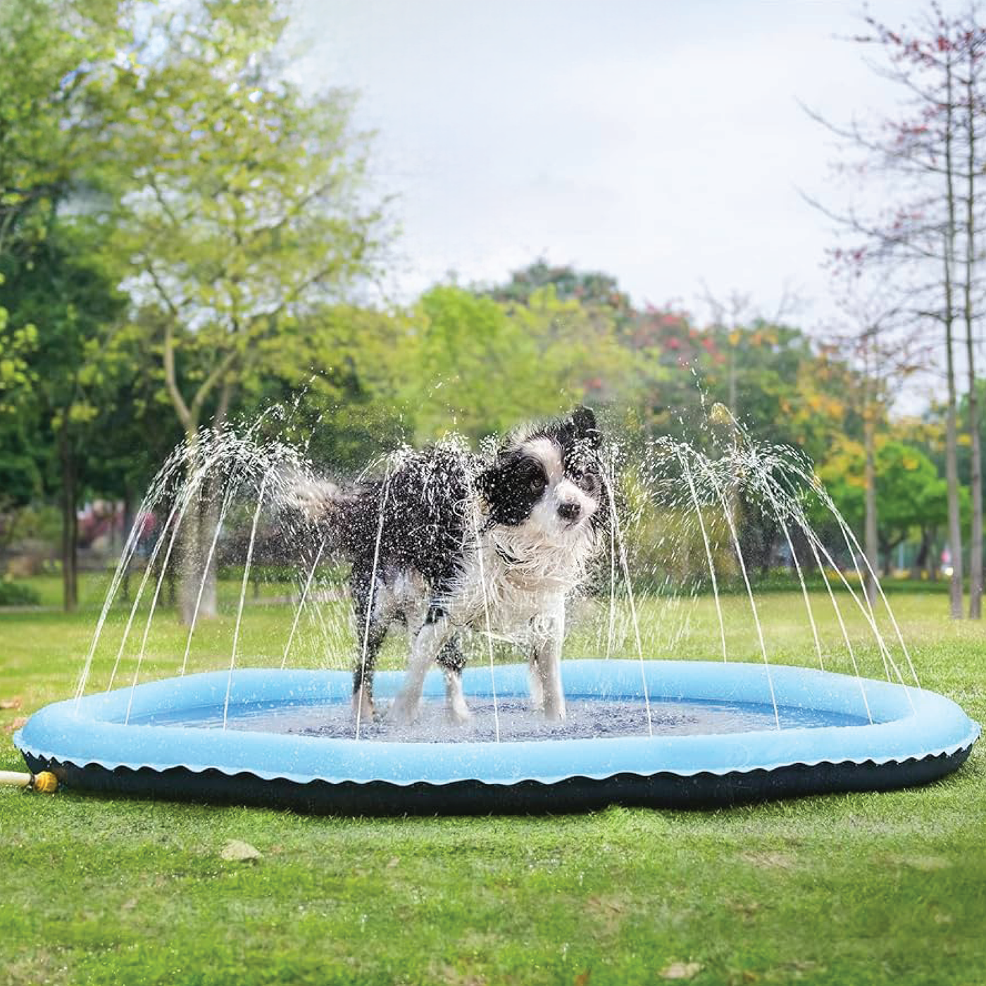 RUFF N ROAM™ SPLASH PAD