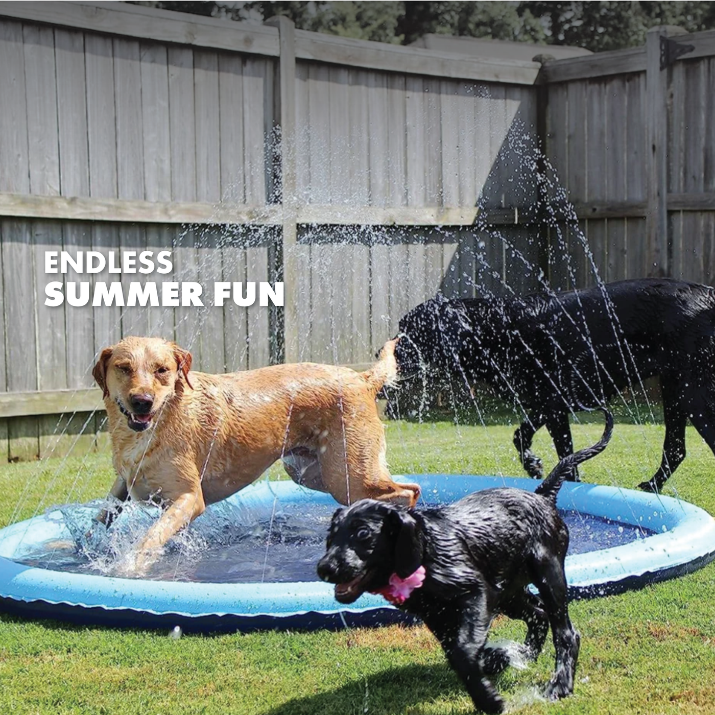RUFF N ROAM™ SPLASH PAD