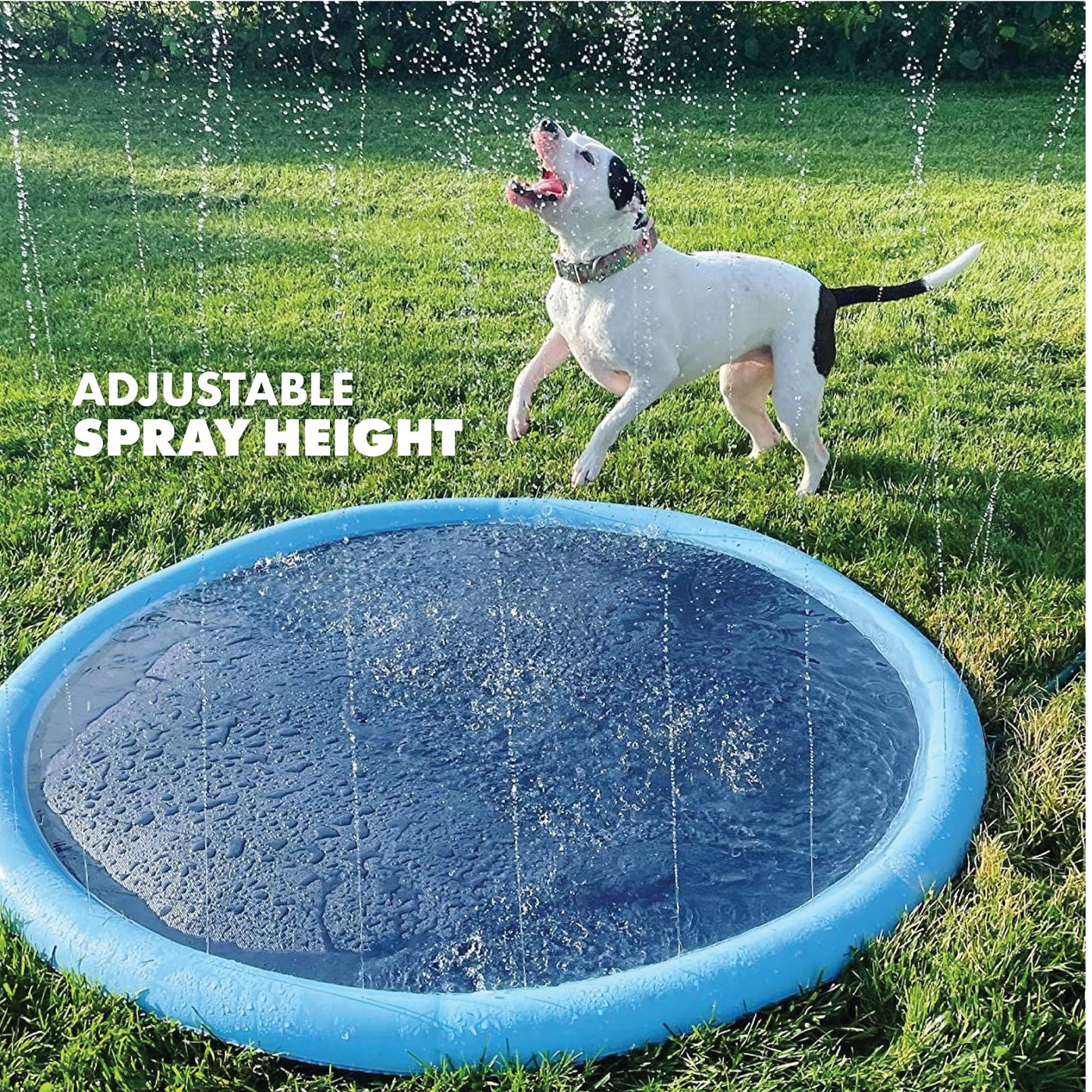 RUFF N ROAM™ SPLASH PAD